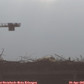 08_25-mast.jpg