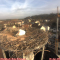 08_25-nest.jpg
