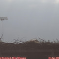 08_30-mast.jpg