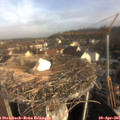 08_30-nest.jpg