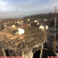 08_35-nest.jpg
