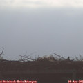 08_40-mast.jpg