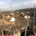 08_40-nest.jpg