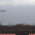 08_45-mast.jpg