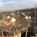 08_45-nest.jpg