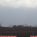 08_55-mast.jpg