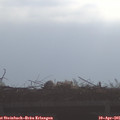 09_00-mast.jpg