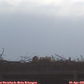 09_05-mast.jpg