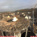 09_05-nest.jpg
