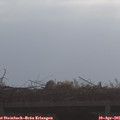 09_10-mast.jpg