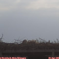 09_15-mast.jpg
