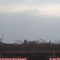 09_20-mast.jpg
