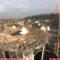 09_20-nest.jpg
