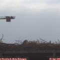 09_25-mast.jpg