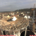 09_25-nest.jpg