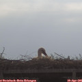 09_30-mast.jpg