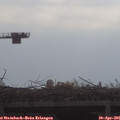 09_35-mast.jpg