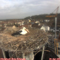 09_35-nest.jpg