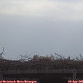 09_40-mast.jpg