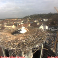 09_40-nest.jpg