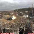 09_55-nest.jpg