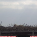 10_05-mast.jpg