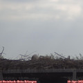 10_10-mast.jpg