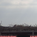 10_15-mast.jpg