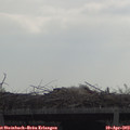 10_25-mast.jpg