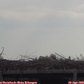 10_30-mast.jpg