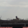 10_35-mast.jpg