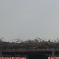 11_05-mast.jpg