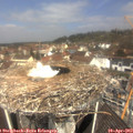 11_25-nest.jpg