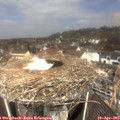 11_30-nest.jpg