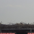 11_35-mast.jpg