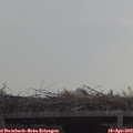 11_40-mast.jpg