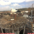 11_45-nest.jpg