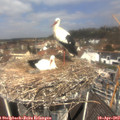 11_50-nest.jpg