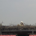 11_55-mast.jpg