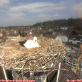 11_55-nest.jpg