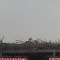 12_00-mast.jpg