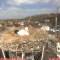 12_05-nest.jpg