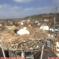 12_10-nest.jpg