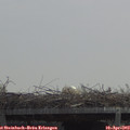 12_20-mast.jpg