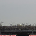 12_25-mast.jpg