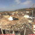 12_25-nest.jpg