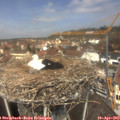 12_30-nest.jpg