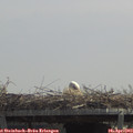 12_35-mast.jpg