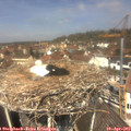 12_35-nest.jpg