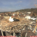12_40-nest.jpg